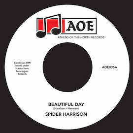 Beautiful Day by Spider Harrison